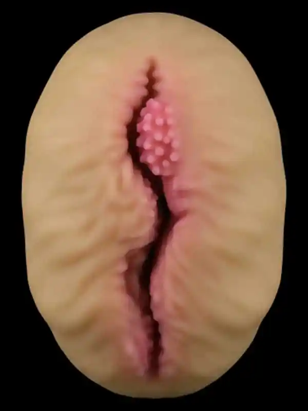 Alien's Pie #1 Mastürbator 23 cm ürün görseli